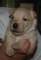 photo10_small.jpg