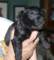 photo12_small.jpg