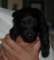 photo13_small.jpg