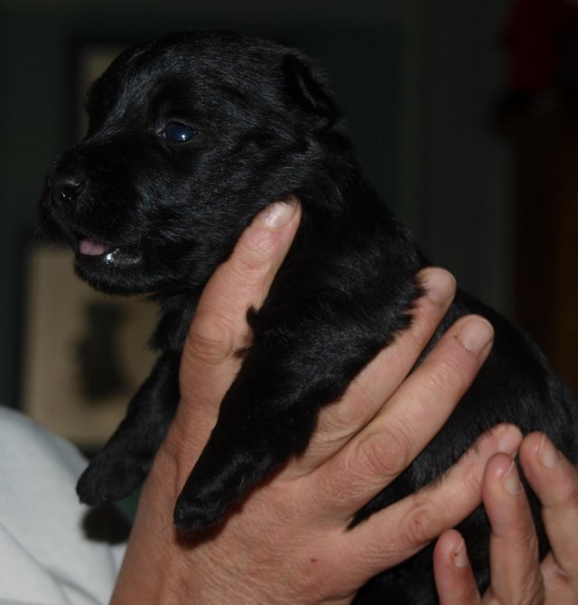 photo15.jpg
