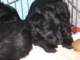 photo35_small.jpg