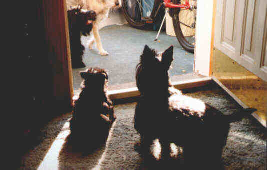 CLICK to see more delightful photos by Linda St James.