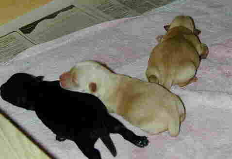 3asleep