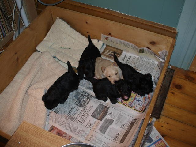 photo25.jpg