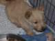 photo36_small.jpg