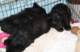 photo37_small.jpg