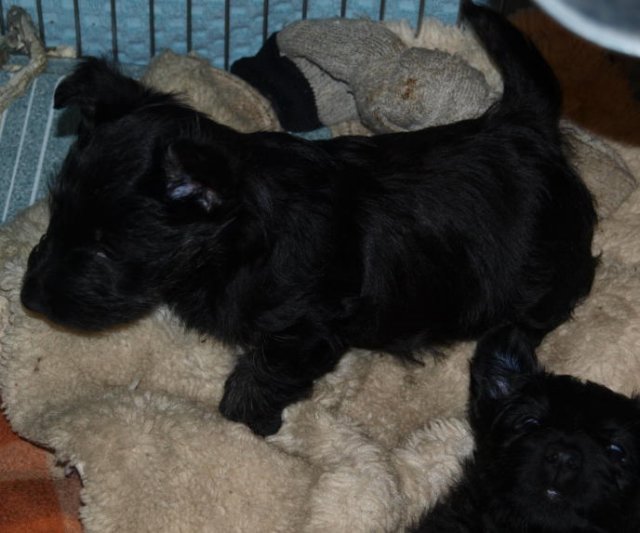 photo40.jpg