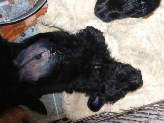 photo43.jpg