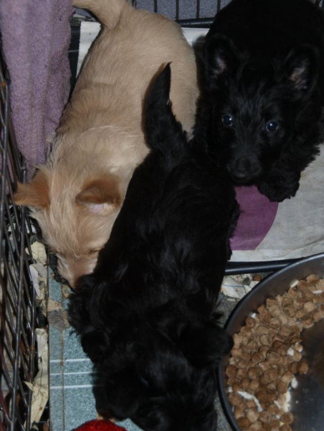 photo45.jpg