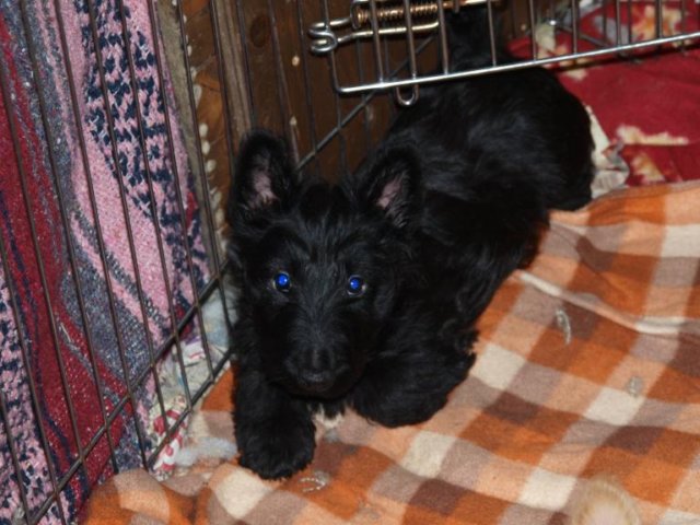 photo47.jpg