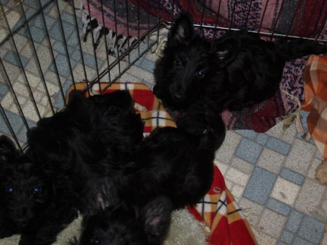 photo51.jpg