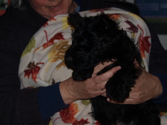 photo53.jpg