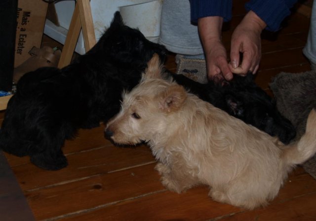 photo55.jpg