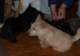 photo55_small.jpg