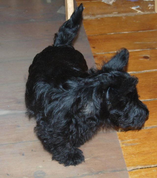 photo56.jpg