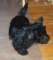 photo56_small.jpg