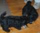 photo57_small.jpg