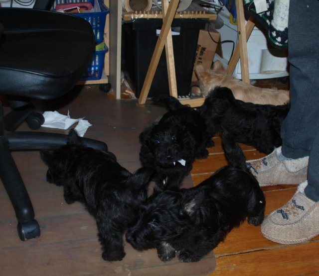 photo62.jpg