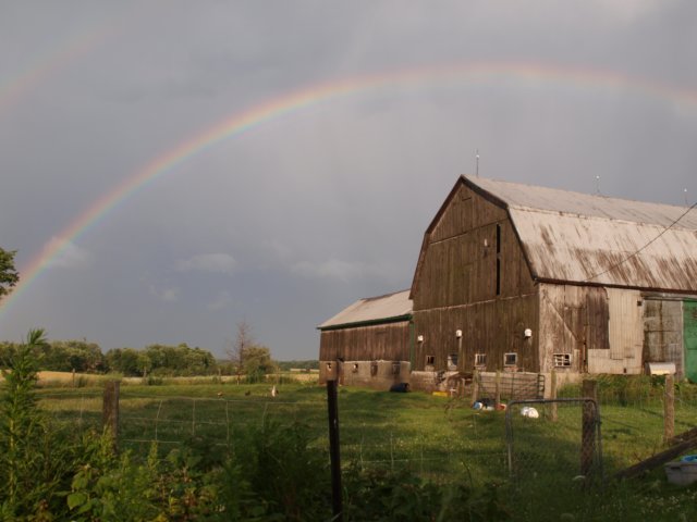 photo34.jpg