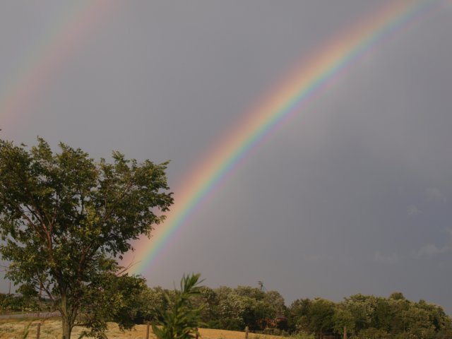 photo38.jpg